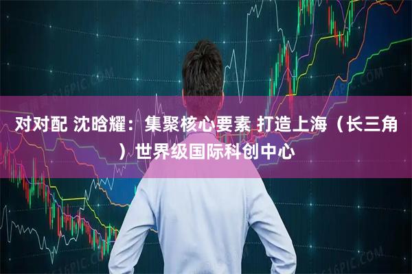 对对配 沈晗耀：集聚核心要素 打造上海（长三角）世界级国际科创中心