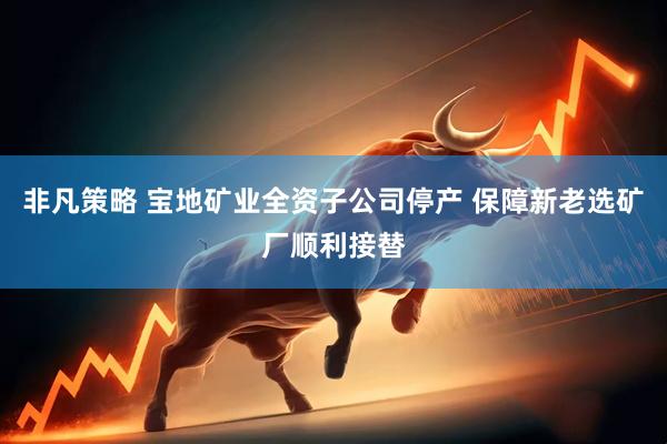 非凡策略 宝地矿业全资子公司停产 保障新老选矿厂顺利接替